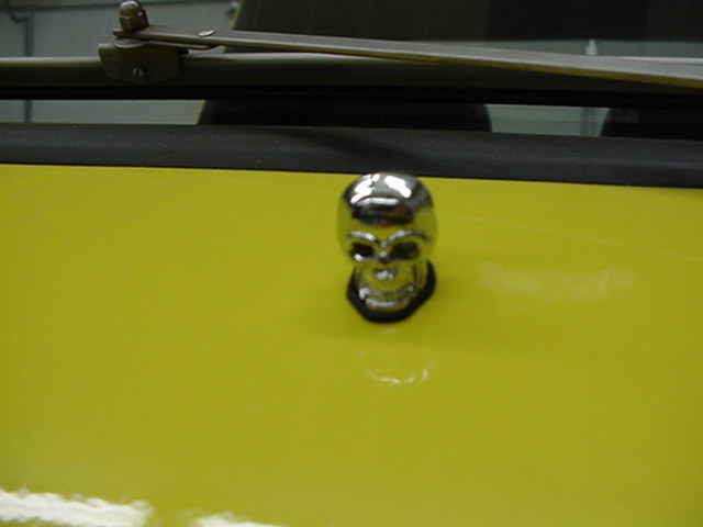 Added a skull windsheild washer sprayer for fun